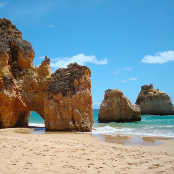 the perfect oasis for you